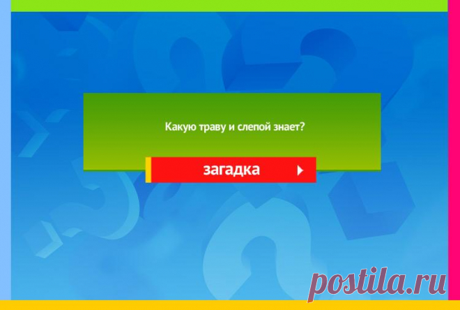 Какую траву и слепой знает - Загадка