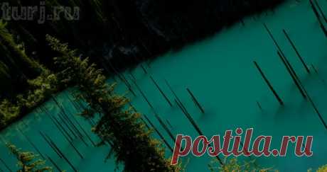 Казахстан: озеро Каинды - прогулка по затонувшему лесу...