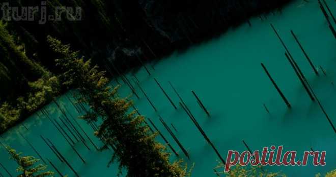 Казахстан: озеро Каинды - прогулка по затонувшему лесу...