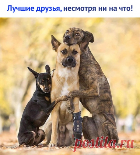 Интересные Факты