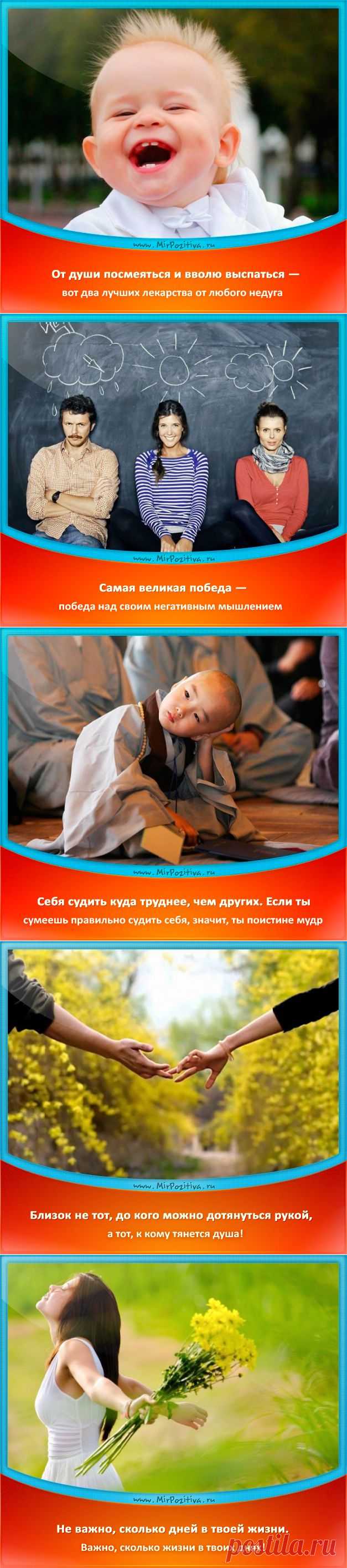 Позитивчики Недели (смотреть фото)