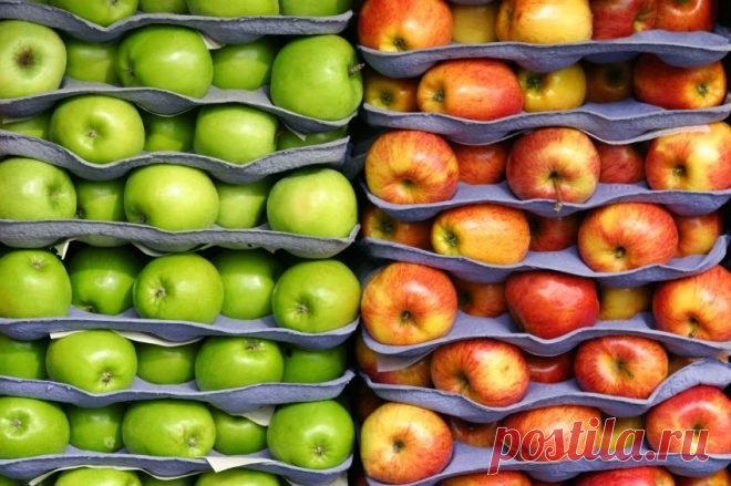 Технологии хранения яблок в промышленных мастшабах и в домашних условиях Хранить яблоки в специально отведенном месте — простой и надежный метод, позволяющий надолго сохранить первозданный вид и вкус фруктов. В силу того, что современный покупатель желает покупать только к…