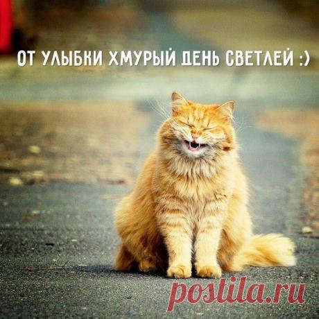 улыбка