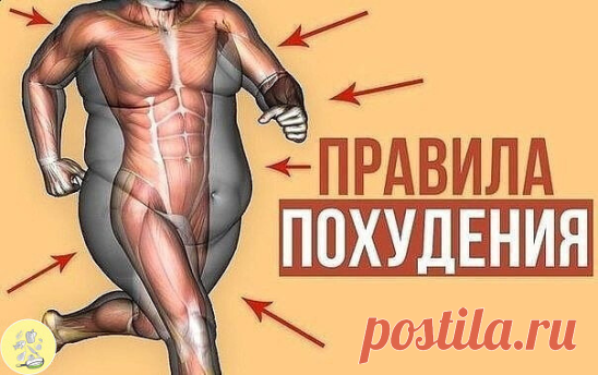 Простые правила для легкого похудения