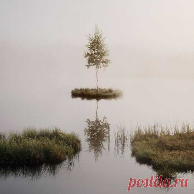 Early Morning. Little Tree Island. Some Fog. Magic.