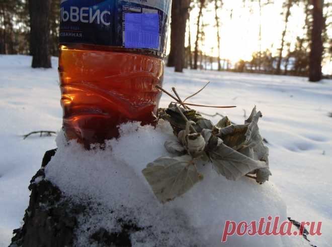 Чай из листьев малины, согревающий кровь в -30 градусный мороз
Листья малины, как и ягоды имеют свойство разжижать кровь, а если кровь текучая, то и конечности не мёрзнут (холодные руки и ноги от густой грязной крови). А если руки-ноги в тепле, то и всё тело в добре! Можно сделать чай из малиновых листьев, залить в термос и взять с собой на прогулку. Будет теплее! Ингредиенты: […]
Читай дальше на сайте. Жми подробнее ➡