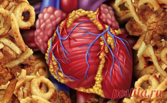 5 самых полезных продуктов для сердца: ешьте ежедневно хотя бы один из них | Дневник ЗОЖ | Яндекс Дзен