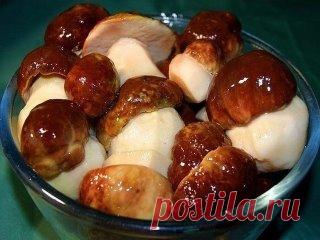 10 заготовок из ГРИБОВ
1. Засолка грибов - холодный способ
Грибы (рыжики, черные и белые грузди, волнушки, сыроежки) - 1 кг 
Соль - 100 г 
Смородина - 10–12 листьев 
Вишня - 5–6 листиков 
Хрен - 2 листа 
Укроп - 2 зонтика 
Лавровый лист - 2–3 шт. 
Перец горошком - по вкусу 
Чеснок - по вкусу
Грузди, волнушки или сыроежки вымыть и залить холодной водой на 5–6 ч. (Рыжики не вымачивают, а только промывают). На дно деревянной или керамической посуды насыпать слой соли, положить половину листьев см