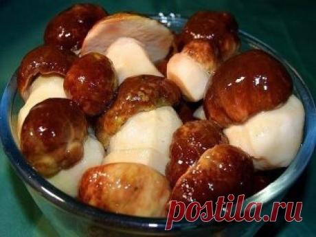 10 заготовок из ГРИБОВ
1. Засолка грибов - холодный способ
Грибы (рыжики, черные и белые грузди, волнушки, сыроежки) - 1 кг 
Соль - 100 г 
Смородина - 10–12 листьев 
Вишня - 5–6 листиков 
Хрен - 2 листа 
Укроп - 2 зонтика 
Лавровый лист - 2–3 шт. 
Перец горошком - по вкусу 
Чеснок - по вкусу
Грузди, волнушки или сыроежки вымыть и залить холодной водой на 5–6 ч. (Рыжики не вымачивают, а только промывают). На дно деревянной или керамической посуды насыпать слой соли, положить половину листьев см