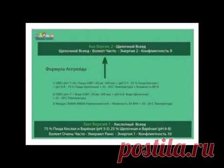 2015-08-27 Семинар &quot;Human Bio Upgrade&quot; Симбиозная и Патогенная микрофлора - YouTube