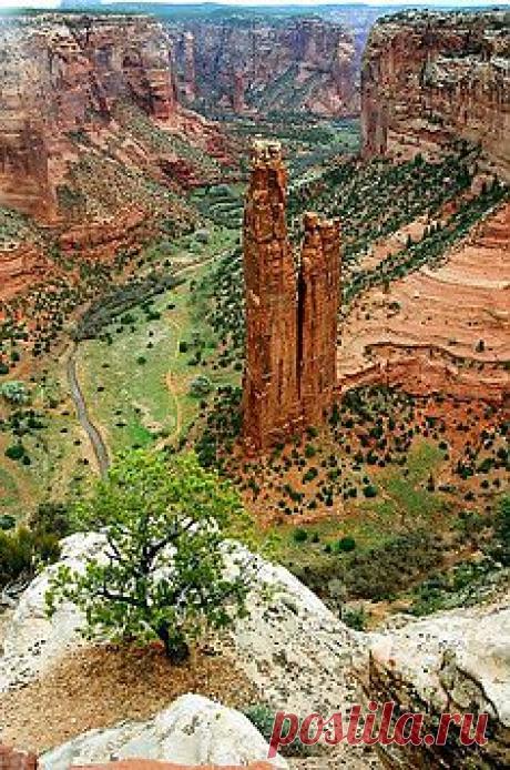 Pinterest