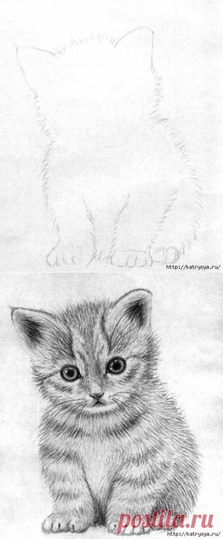 Рисуем котенка вместе с детьми!