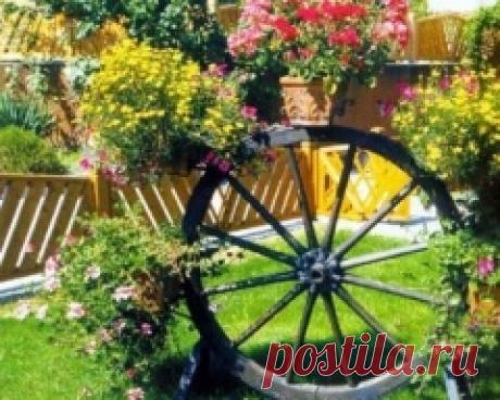 Domubiedri - Mans puķu dārzs. - Diskusijas - draugiem.lv