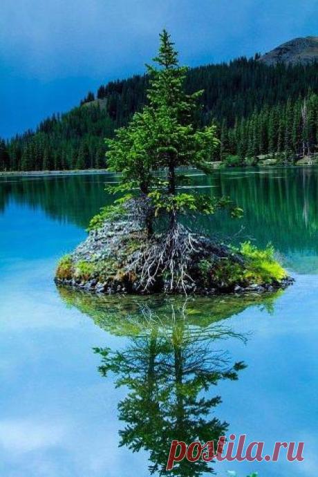 getImage (320×480)