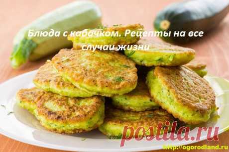 Блюда с кабачком. Рецепты на все случаи жизни