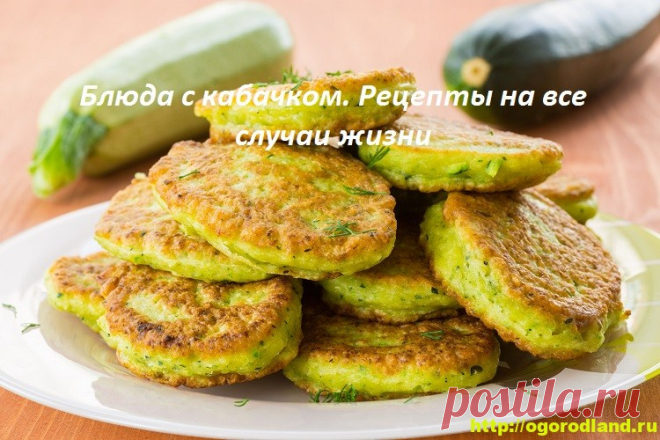 Блюда с кабачком. Рецепты на все случаи жизни