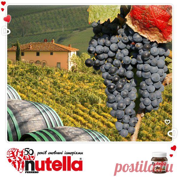 У Італії існує культ вина - бокал сухого напою п'ють щодня під час одного з прийомів їжі. І справді, вино в такій кількості корисне для здоров'я, а італійці вважають його ще й елементом довголіття. Тому не дивно, що щорічно середньостатистичний італієць випиває 26 літрів вина!