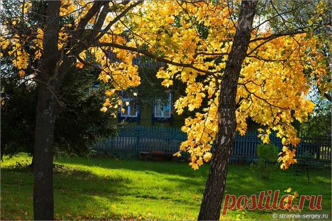 В русской природе, лишенной ярких «тропических» красок, осень - настоящее пиршество цветов: от желтых и красных листьев, зеленой травы до синего и голубого неба.
Поэтому осень, это время, когда можно отправиться на поиски действительно «золотых» фото. Вот только повезет ли с погодой в заветный выходной денек?
Элемент случайности и непредсказуемости придает охоте за осенью живость и остроту.