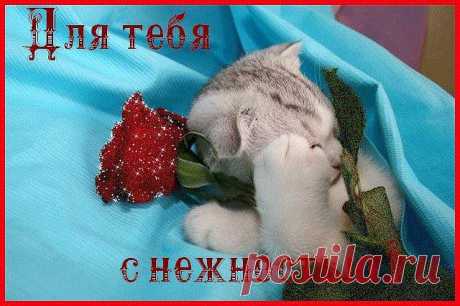 СПАСИБО!
✟† ✟KAREN✟† ✟ ✟† ✟✟HAYRAPETYAN✟✟†✟33●✰