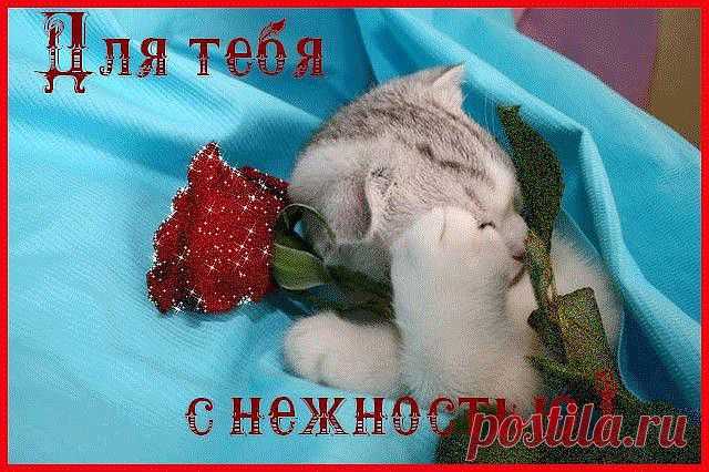 СПАСИБО!
✟† ✟KAREN✟† ✟ ✟† ✟✟HAYRAPETYAN✟✟†✟33●✰