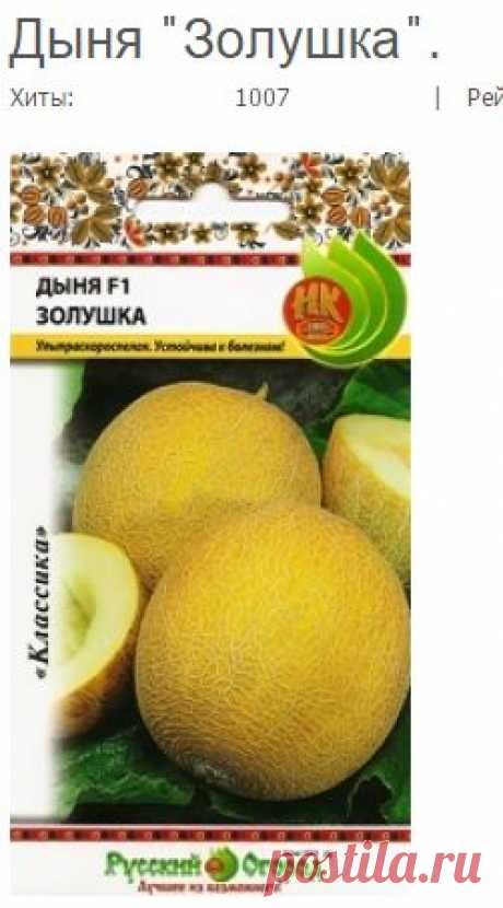 Поволжский садовод интернет магазин семена дыня Золушка купить почтой