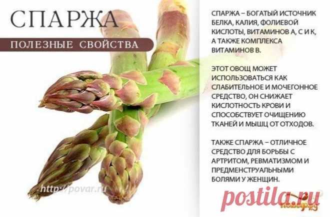 Спаржа полезные свойства