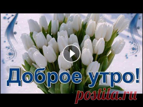 С добрым утром!  Красивая музыкальная открытка. Чекалин. Пусть настроение будет отличным, Радостным, солнечным и необычным, Чтобы душа твоя пела романсы, Были стабильно большими финансы. Чтобы хотелось тебе ...