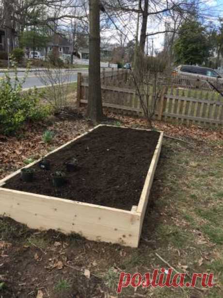 Raised Bed Gardens Built & Filled With Organic Compost - farm & garden - by owner - sale
