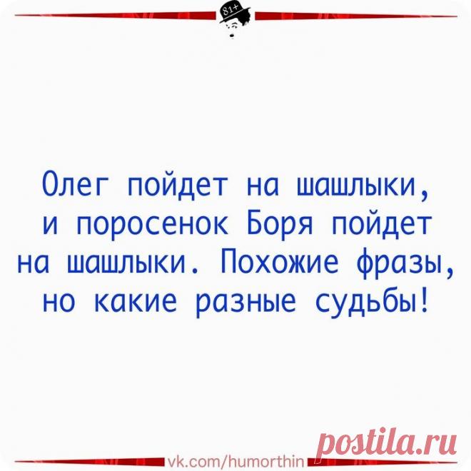 Выпуск №6445 - выпуск анекдотов сайта вокруг смеха