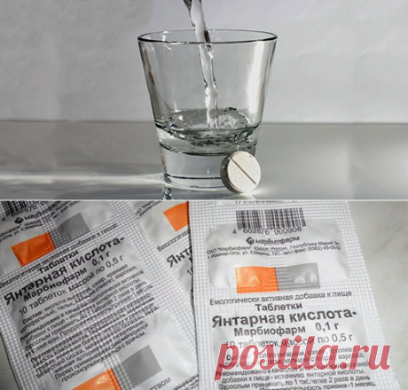 Янтарная кислота в огороде и в саду - Дачные советы.ру