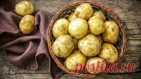 Kartoffeln kochen: Tipps für Einkauf und Zubereitung | NDR.de - Ratgeber - Kochen - Warenkunde