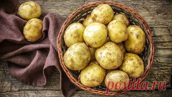 Kartoffeln kochen: Tipps für Einkauf und Zubereitung | NDR.de - Ratgeber - Kochen - Warenkunde