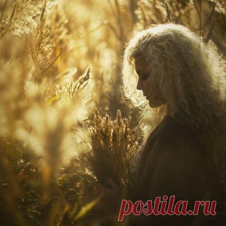 Теплая осень
