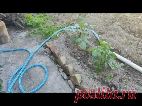 ПРОДОЛЖАЮ УБИРАТЬ ЗАВАЛЫ #житиё моё от 30 05