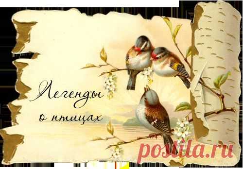 Вечный Зов - Легенды о птицах
