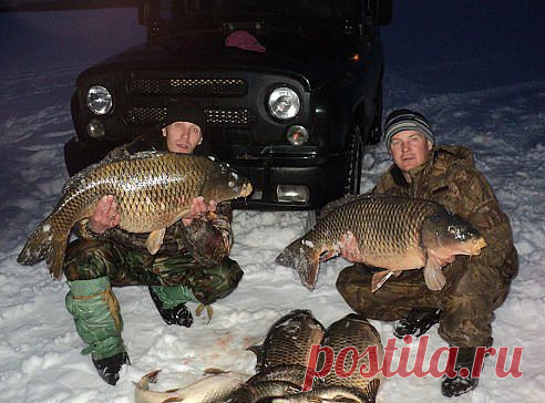 Такой всем рыбалки
Алексей Маслов