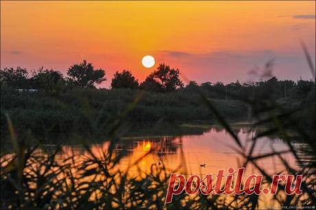 Фотопрогулки. Тихий вечер Люблю я сентябрьские вечера.Не жаркие...Тихие...Нарушаемые только всплеском уток и пением сверчковА еще они розовые... Слова тут излишни
