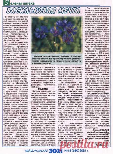 Василек - лечебные свойства