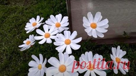 Ромашки из пластиковых бутылок