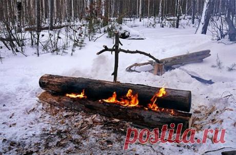Нодья - самый долго горящий костер (более 10 часов) | Золотые руки | Яндекс Дзен