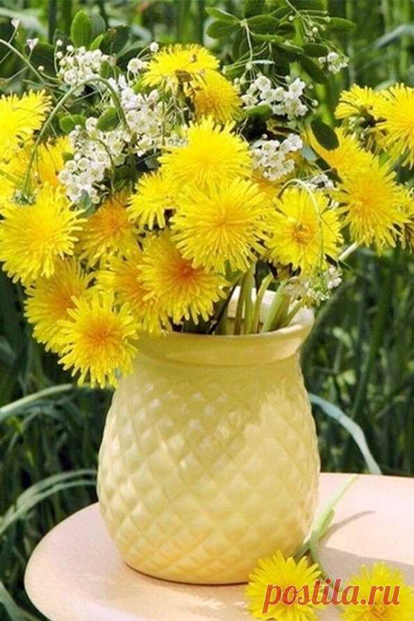 Добрых выходных! 🌼
У каждого дня свой аромат. Пусть сегодня пахнет счастьем!

Наша жизнь состоит из маленьких мгновений счастья! Поймал это мгновение – и радуйся жизни! Чудесного дня и много- много счастливых мгновений.От печали до радости одно лишь мгновение,
БУДЕТ ВСЁ ХОРОШО,наберитесь ТЕРПЕНИЯ❣️