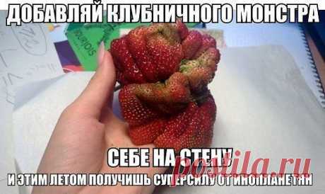 Интересные новости