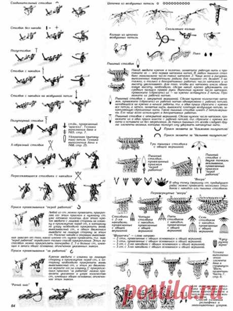 105161675_large_98.jpg (525×699)