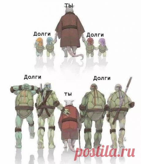 Только смешные фото из жизни людей и других животных