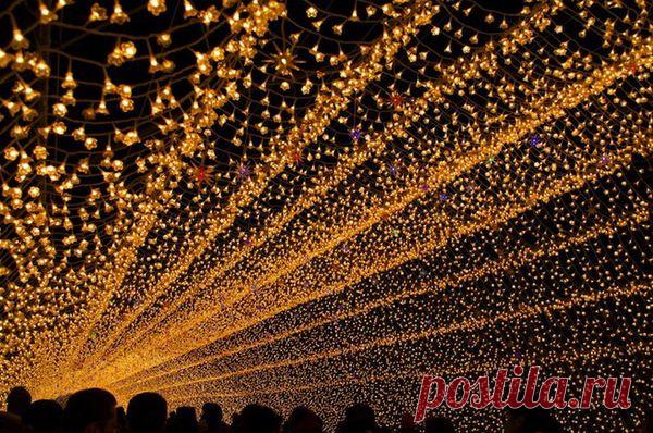 световая инсталляция - 14 тыс. картинок. Поиск@Mail.Ru