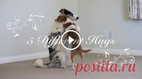 5 Different Hugs for Valentines Day