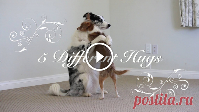 5 Different Hugs for Valentines Day