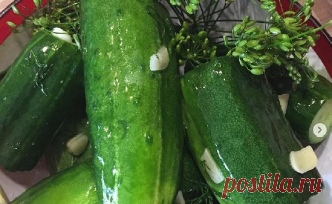 Малосольные огурцы в пакете невероятно вкусные: быстрый рецепт приготовления