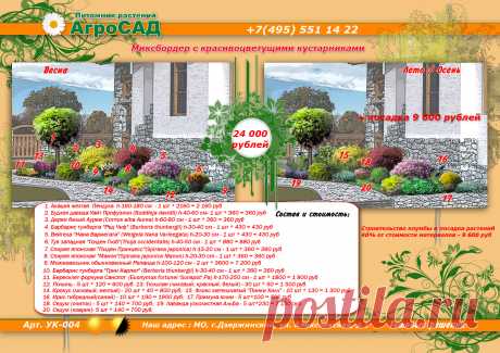МИКСБОРДЕР С КРАСИВО ЦВЕТУЩИМИ КУСТАРНИКАМИ.