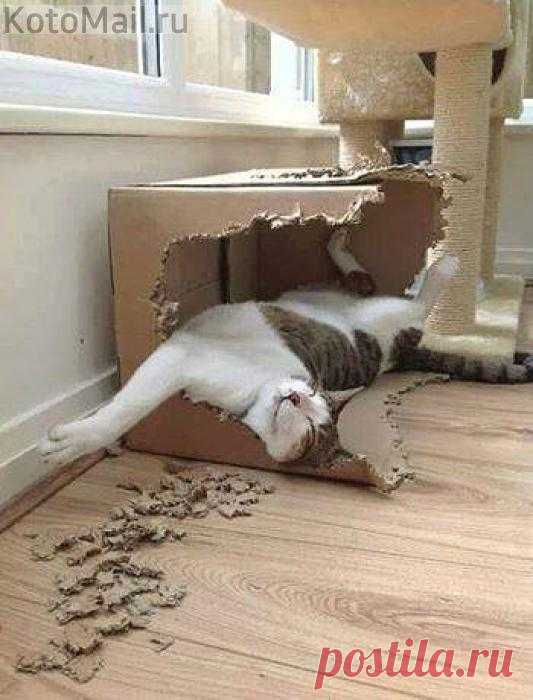 Художественная грызьба по коробке